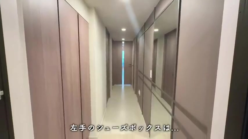 プレディア流山運河ステーションフロントの玄関・シューズボックス（室内・外観の様子）