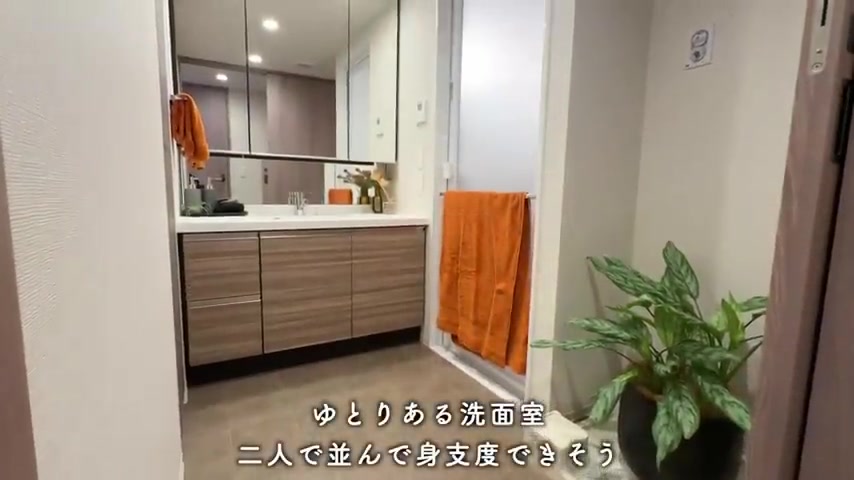 プレディア流山運河ステーションフロントの洗面室（室内・外観の様子）