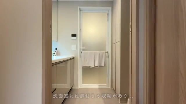 レ・ジェイド南港の洗面室