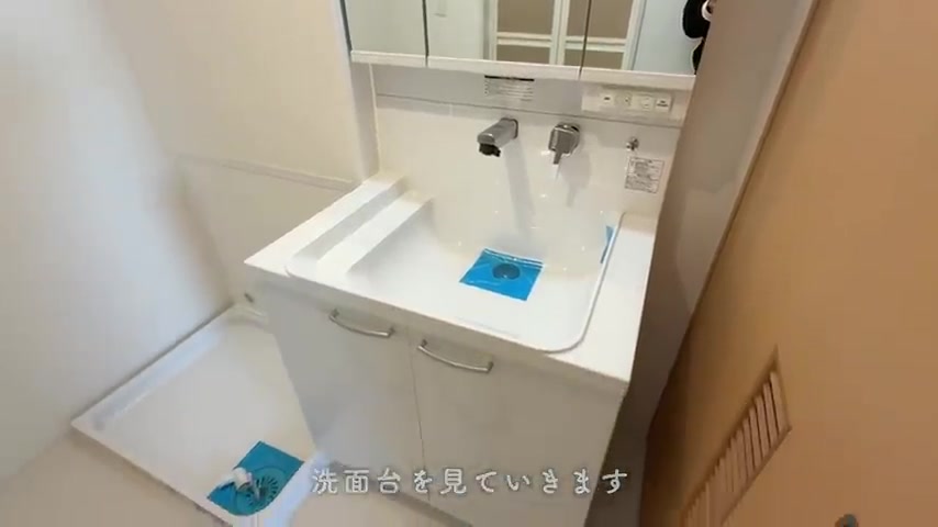 アルビス緑丘の洗面室(室内・外観の様子)