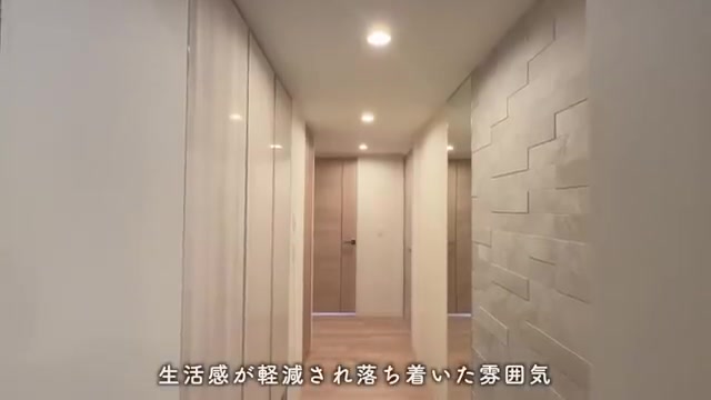 クリーンリバーフィネス元町プレセアの玄関(室内・外観の様子)