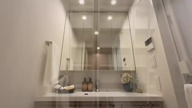 クリーンリバーフィネス元町プレセアの洗面室(室内・外観の様子)
