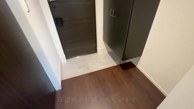 プレシア天神サウスの玄関（室内・外観の様子）