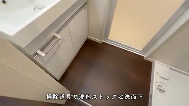 プレシア天神サウスの洗面脱衣場（室内・外観の様子）