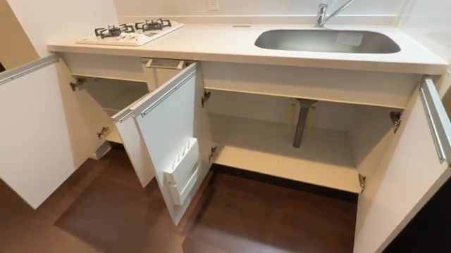 プレシア天神サウスのキッチン（室内・外観の様子）