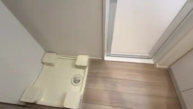プレシア竹下Ⅱの洗面室(室内・外観の様子)