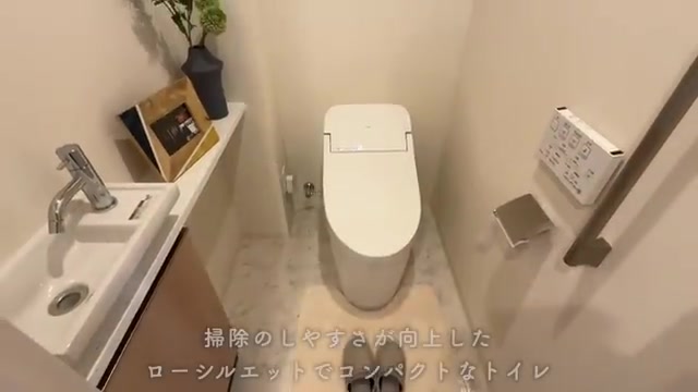 クリーンリバーフィネス元町プレセアのトイレ(室内・外観の様子)