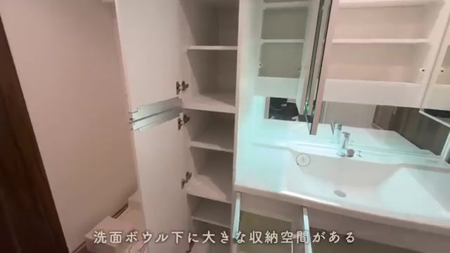 プレシア千早の洗面室(室内・外観の様子)