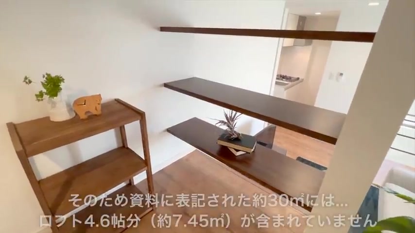 変わった間取り×賃貸の内見動画のロフト(室内・外観の様子)