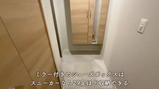 大阪二人暮らしのシューズボックス・物入（室内・外観の様子）