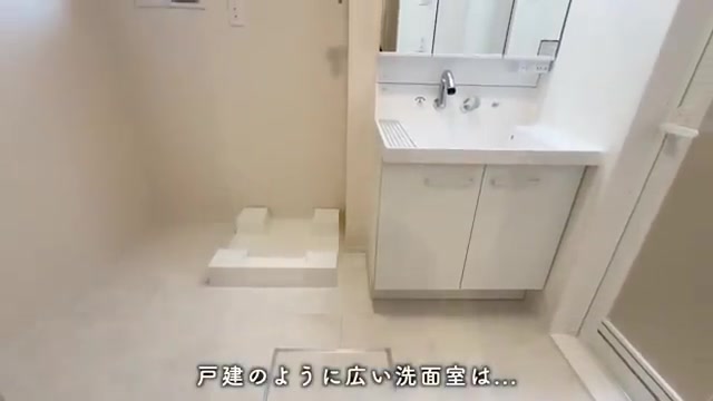 フルール上賀茂の洗面室(室内・外観の様子)