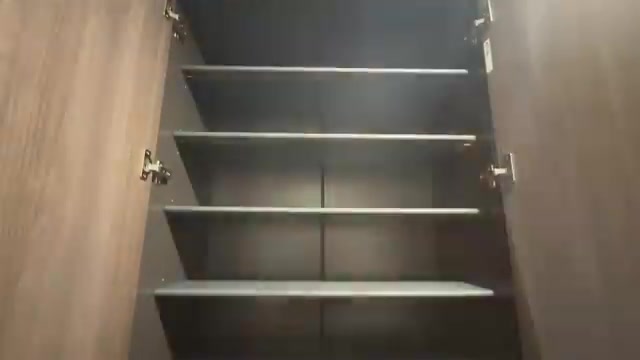 リベルタ三篠の玄関（室内・外観の様子）