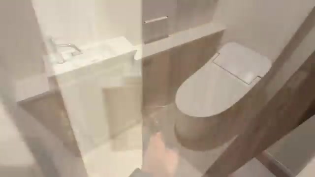 リベルタ三篠のトイレ（室内・外観の様子）