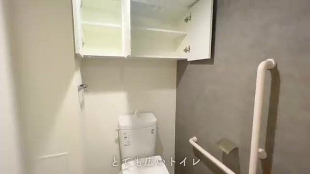 賃貸マンションの内見のトイレ（室内・外観の様子）