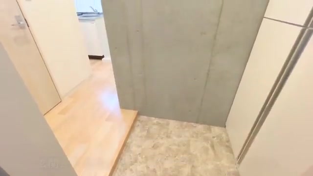 賃貸マンション内見の玄関（室内・外観の様子）