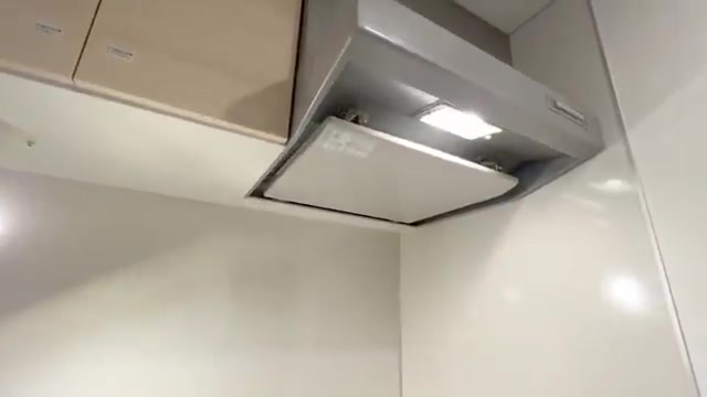 埼玉県の賃貸マンション内見の独立キッチン（室内・外観の様子）