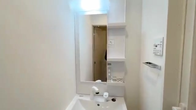 埼玉県の賃貸マンション内見の洗面室（室内・外観の様子）