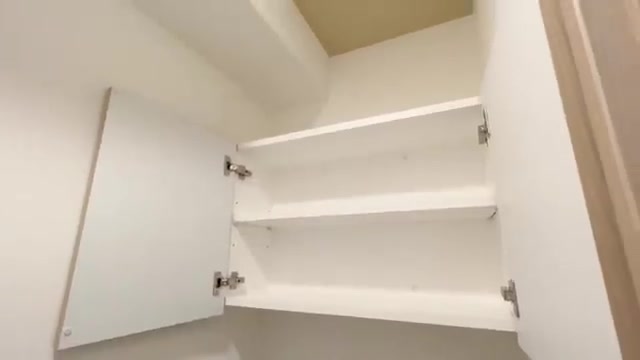 埼玉県の賃貸マンション内見のトイレ（室内・外観の様子）