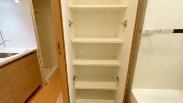 神奈川の賃貸マンション内見の洗面室（室内・外観の様子）