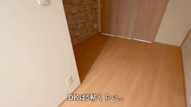 神奈川の賃貸マンション内見のリビングダイニング（室内・外観の様子）
