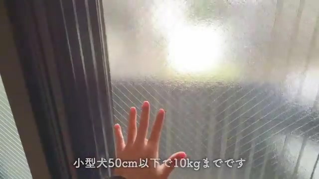 神奈川の賃貸マンション内見の玄関・土間（室内・外観の様子）