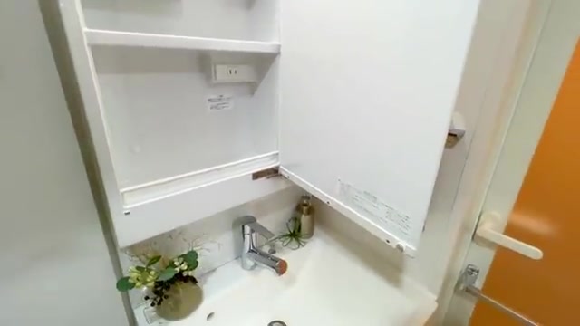 賃貸マンションの内見の洗面室(室内・外観の様子)
