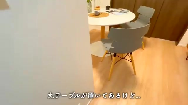 賃貸マンションの内見のリビングダイニング(室内・外観の様子)
