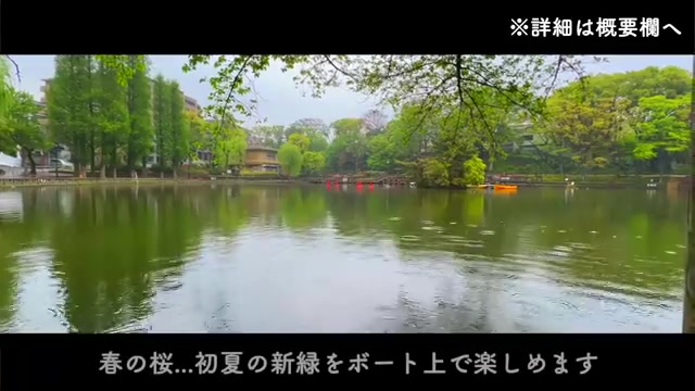 賃貸マンションの内見の公園・周辺環境(室内・外観の様子)