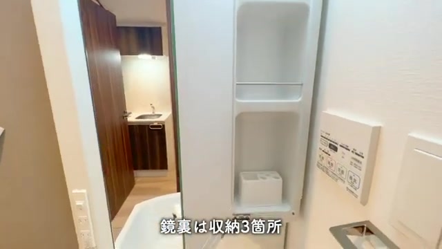賃貸マンション内見の洗面室(室内・外観の様子)