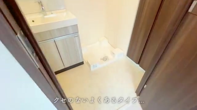 賃貸マンション内見の洗面所(室内・外観の様子)