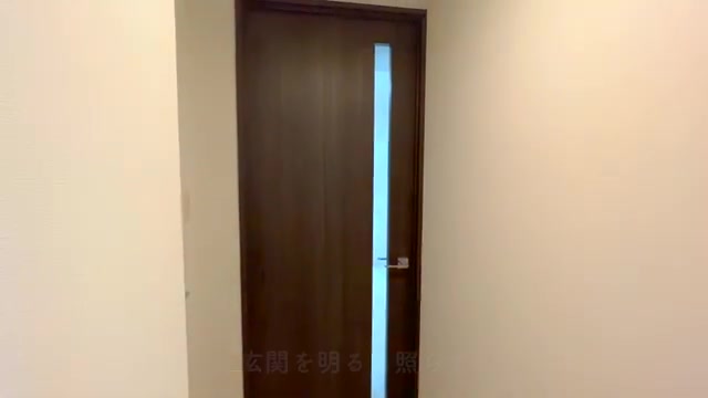 賃貸物件/マンション内見の玄関(室内・外観の様子)