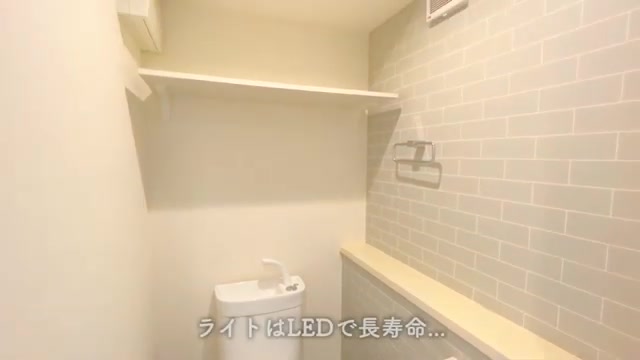 変わった間取り/賃貸アパート内見のトイレ（室内・外観の様子）