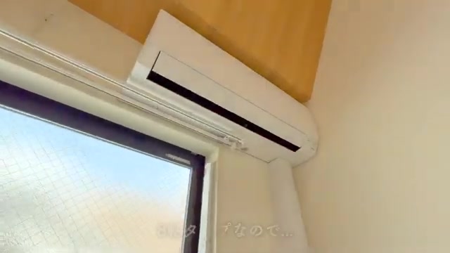 変わった間取り/賃貸アパート内見の洋室・ロフト全景（室内・外観の様子）