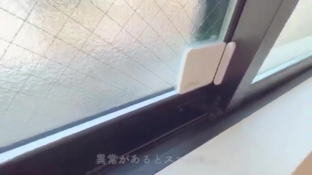 変わった間取り/賃貸アパート内見の窓・防犯設備（室内・外観の様子）