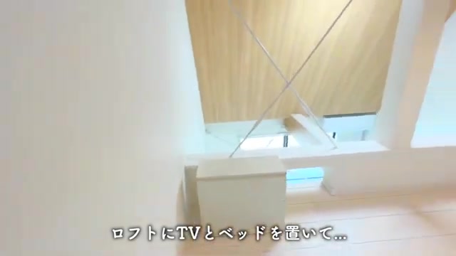 変わった間取り/賃貸アパート内見のロフト内部（室内・外観の様子）