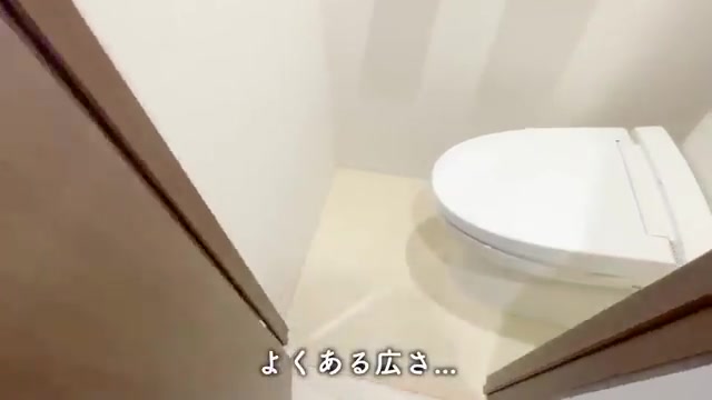 賃貸マンション内見動画のトイレ（室内・外観の様子）
