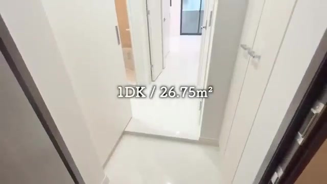 賃貸マンション内見動画のトイレ-洗面-お風呂（室内・外観の様子）