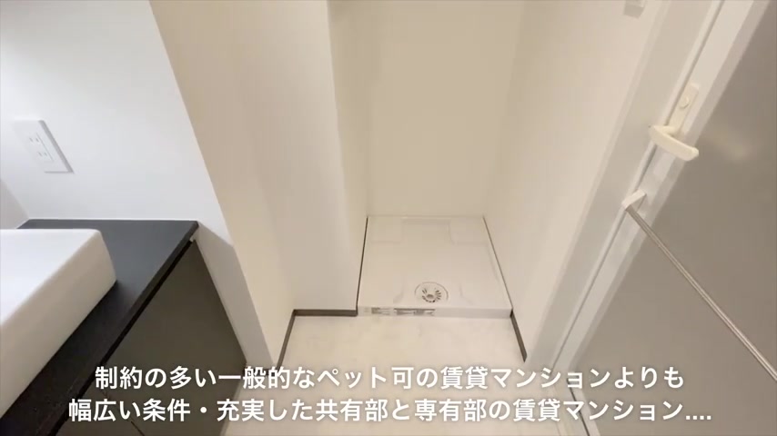 一人暮らし×ペットの洗面所（室内・外観の様子）