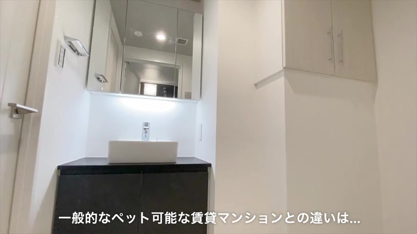 一人暮らし×ペットの洗面所（室内・外観の様子）