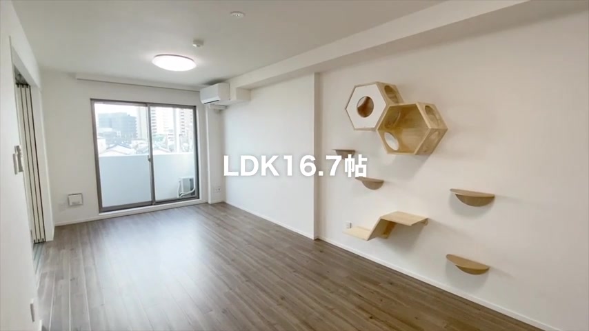 一人暮らし×ペットのキッチン（室内・外観の様子）