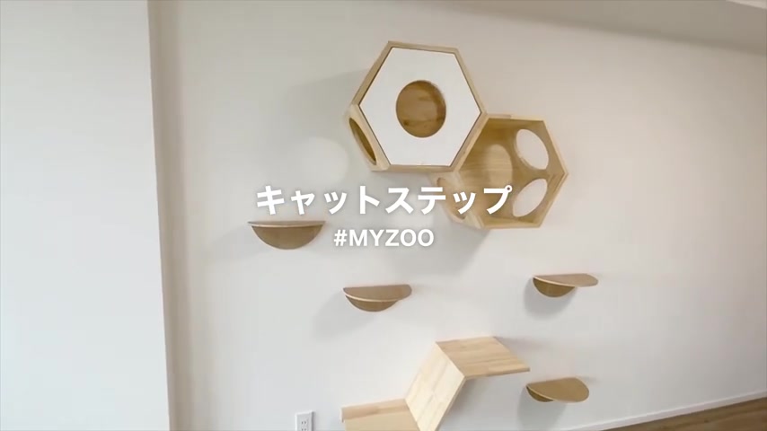 一人暮らし×ペットのキャットウォーク（室内・外観の様子）