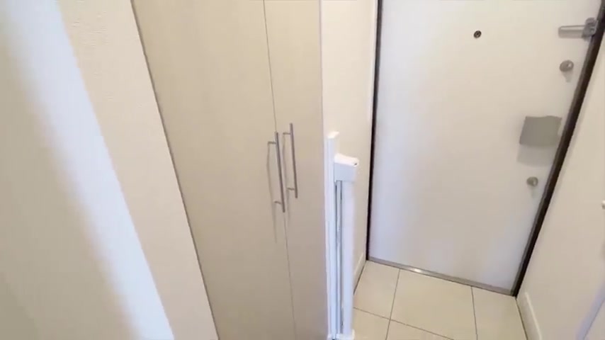 イヌネコヒルズの靴箱&ペットゲート（室内・外観の様子）