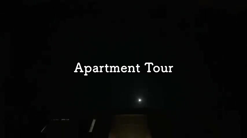 賃貸アパートの内見の外観(室内・外観の様子)