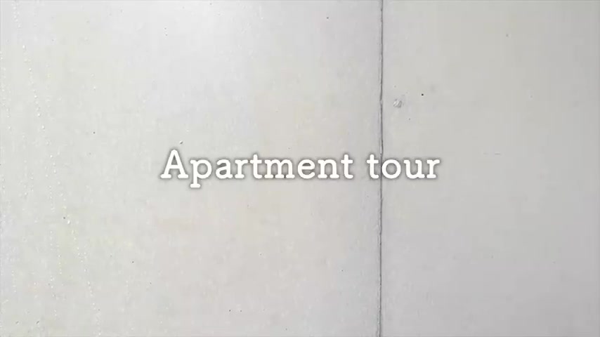 賃貸マンションの内見のエントランス（室内・外観の様子）