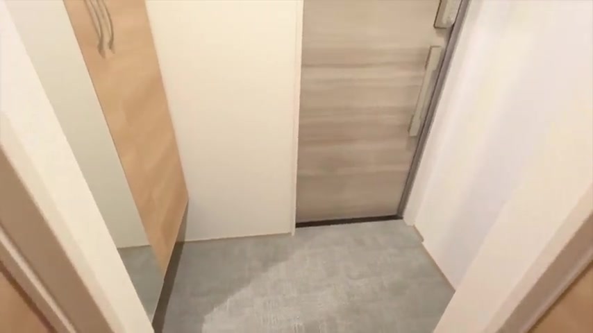賃貸アパート内見の靴箱（室内・外観の様子）