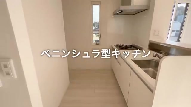 賃貸アパートの内見のキッチン（室内・外観の様子）