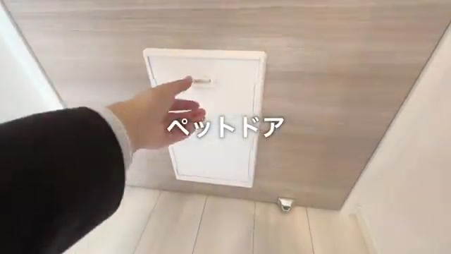 賃貸アパートの内見のペットドア（室内・外観の様子）