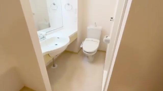 賃貸アパートの内見の洗面所・トイレ(室内・外観の様子)