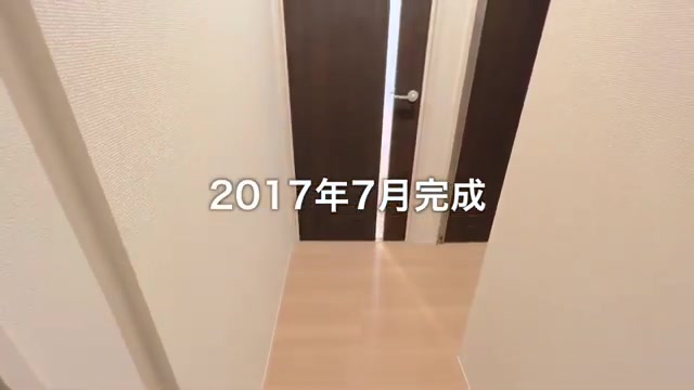 賃貸アパートの内見動画の玄関・トイレ(室内・外観の様子)