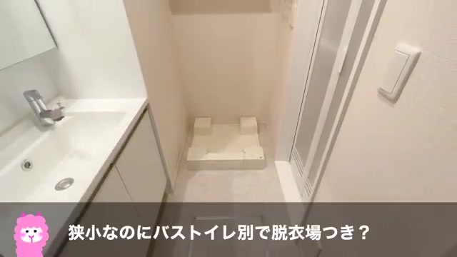 一人暮らしの賃貸アパート内見の洗面台（室内・外観の様子）